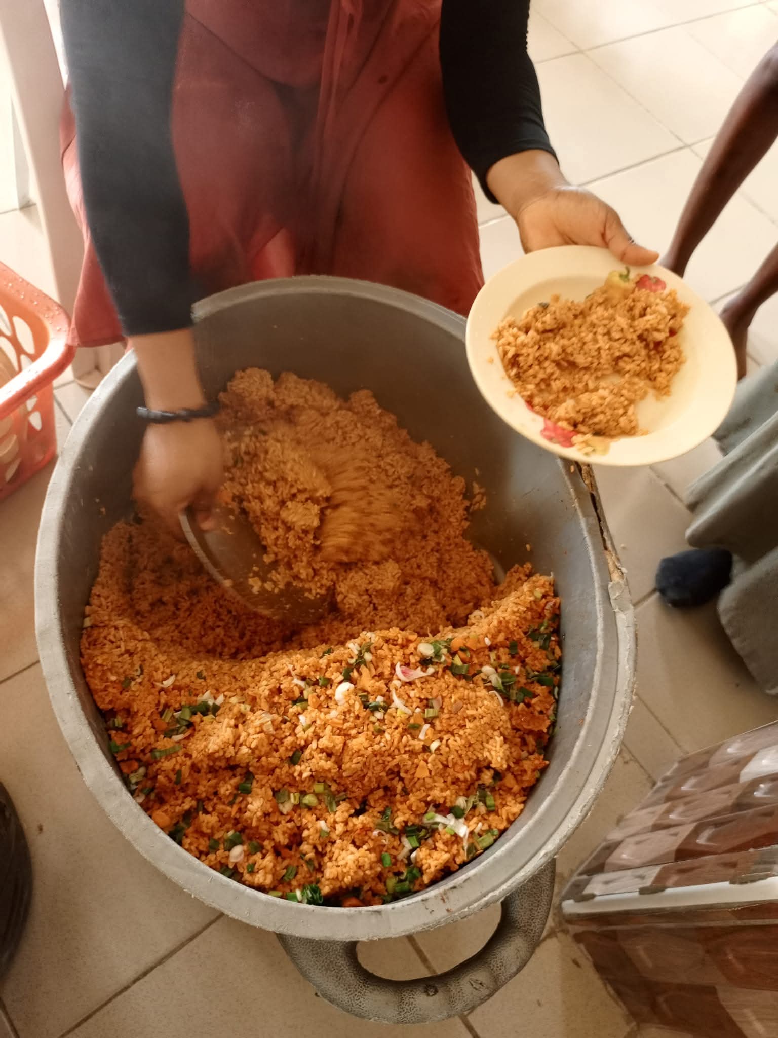 Bible Brain® programme highlights